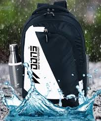 School Backpack